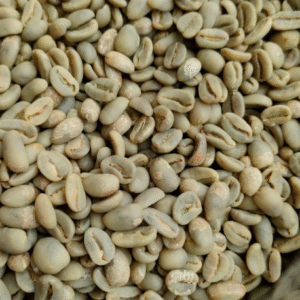 ACEH GAYO SPECIALITY COFFEE /KG