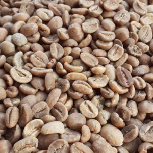 ACEH GAYO SPECIALITY COFFEE /KG