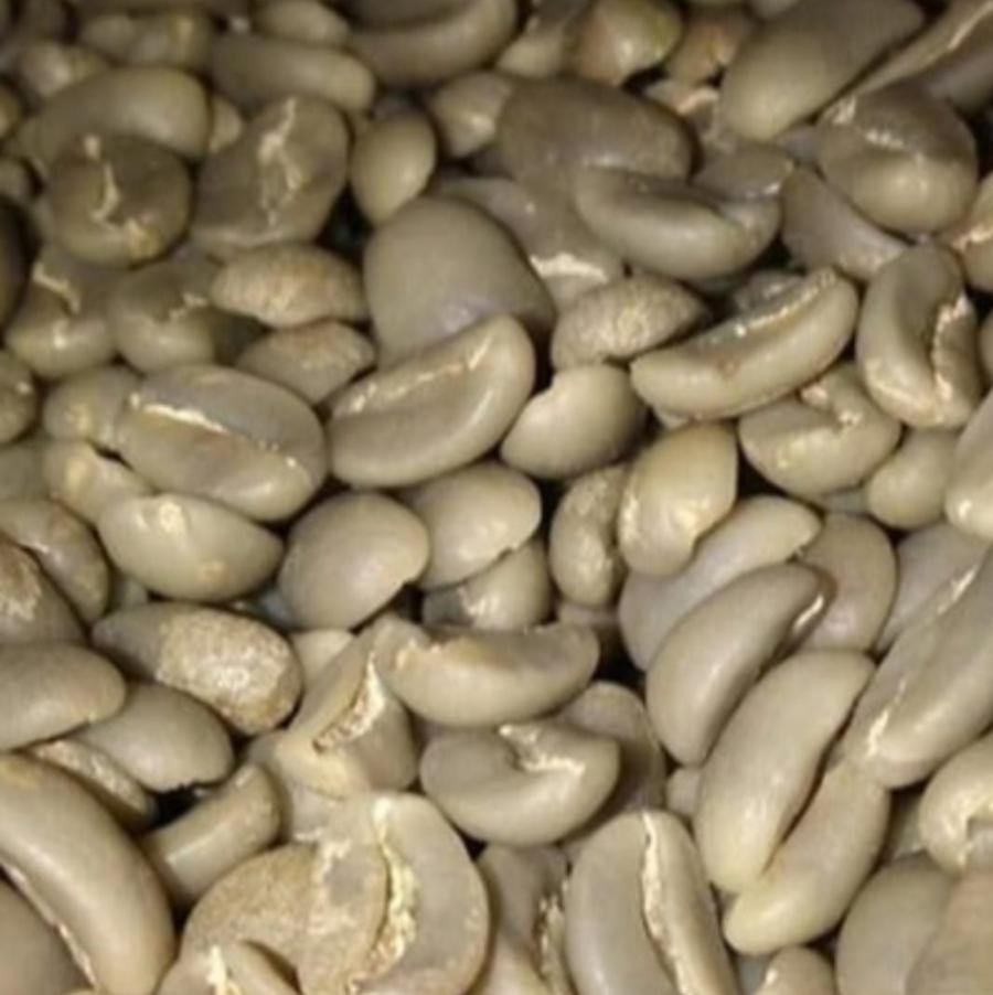 KOPI LUWAK LIAR GAYO /KG